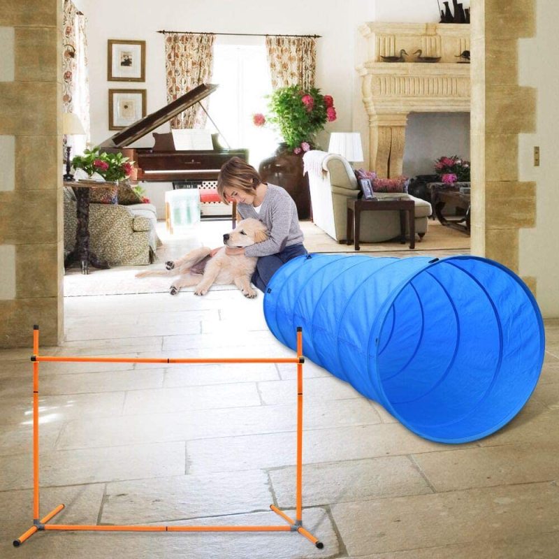 Dog Agility Course Equipment Obstacle Agility Training Starter Kit for Dog And Pet Outdoor Games