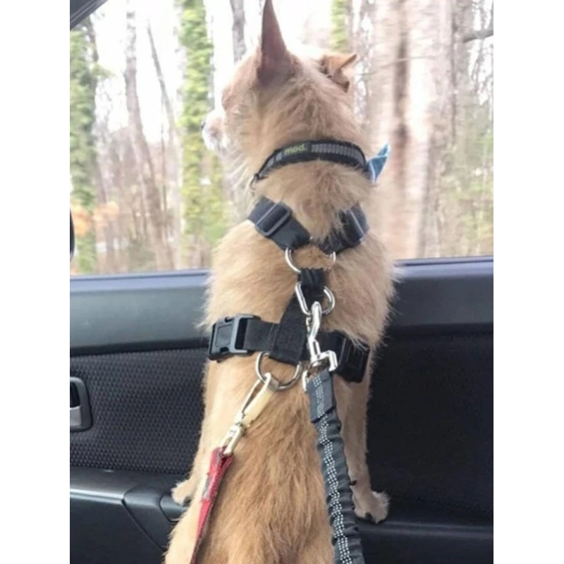Safety Pet Car Seat Belt Useful Pet In the Car Keep Tight For Pet