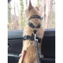 Safety Pet Car Seat Belt Useful Pet In the Car Keep Tight For Pet