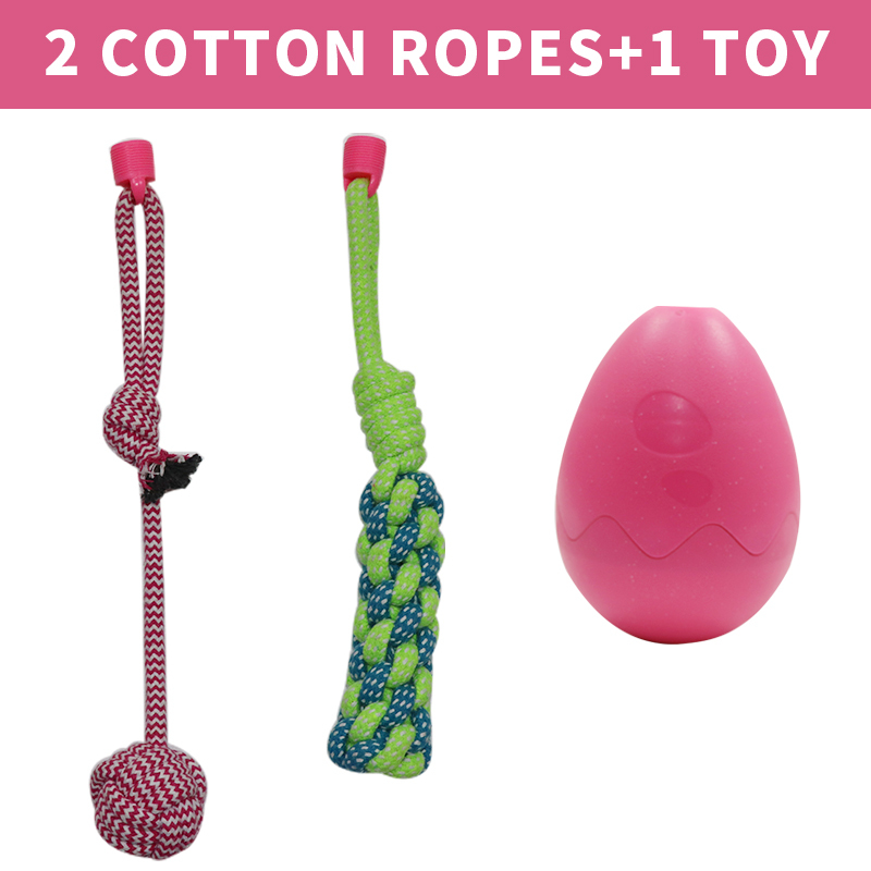 Hot selling dog leaky ball dog bite-resistant outdoor strong leash Puzzle dog toy