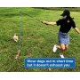 Interactive Pole Toy for Dogs Chase Fleece Rope Tether Lure Toy to Outdoor Exercise and Training Toys