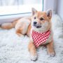 Dog Bandana - 6PCS Birthday Gift Washable Green Blue Red Christmas Dog Bandana Square Plaid Printing Bib Double Reversible