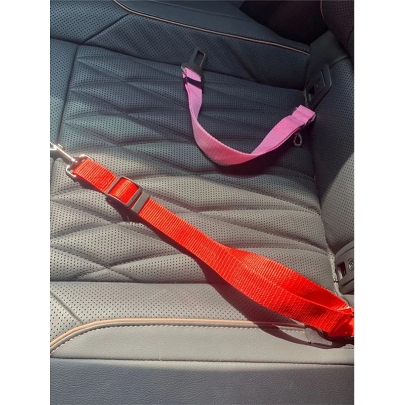 Keep Safety  Pet Car Seat Belt In the Car For Pet Drive to Out side