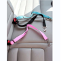 Keep Safety  Pet Car Seat Belt In the Car For Pet Drive to Out side