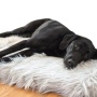 Removable Cover Dog Bed Orthopedic Pillow Dog Bed Faux Fur Rectangular Pet Beds