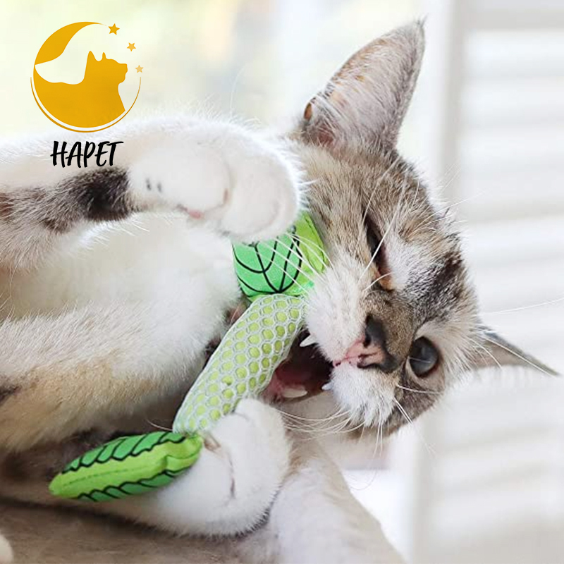 Interactive Kitten Toy with Catnip or Light Ball Cleaning Teeth
