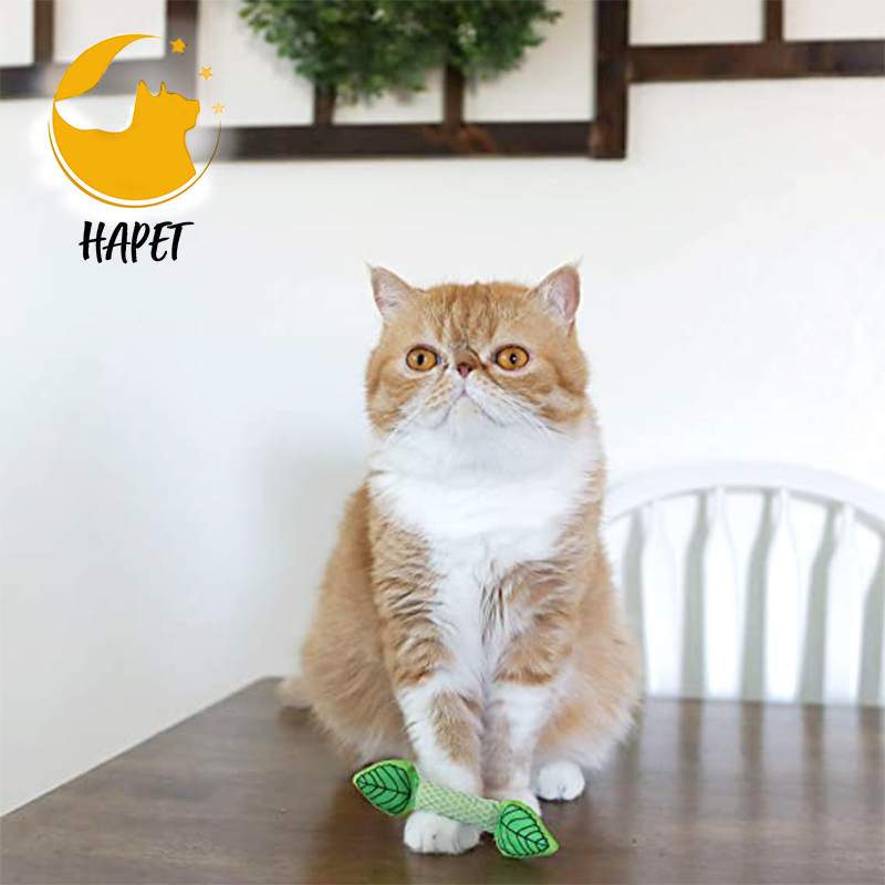 Interactive Kitten Toy with Catnip or Light Ball Cleaning Teeth