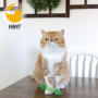 Interactive Kitten Toy with Catnip or Light Ball Cleaning Teeth