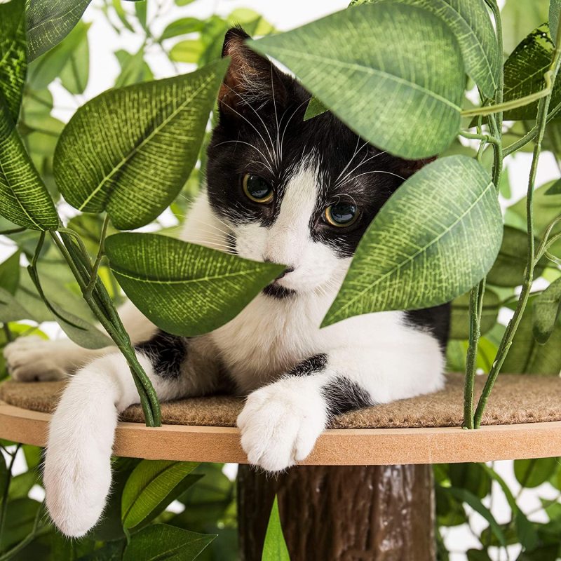 Playing Scratching Cat Condo Furniture Tree House Tower for Climbing