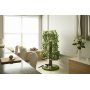 Playing Scratching Cat Condo Furniture Tree House Tower for Climbing