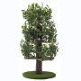 Playing Scratching Cat Condo Furniture Tree House Tower for Climbing