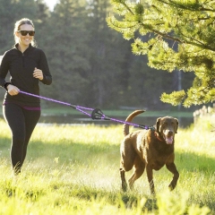 Wholesale Multifunction Custom Nylon Bungee Dog Leash Reflective Double Handle Rope Dog Leash for Training