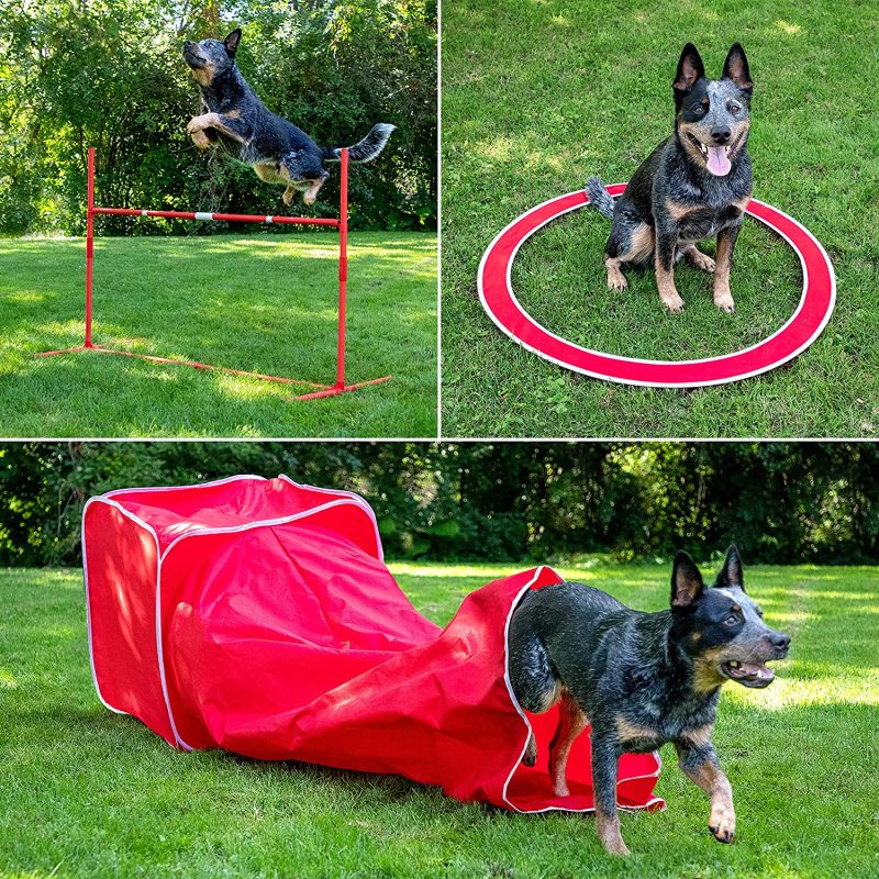 Agility Training for Dog Affordable Training Tunnel On the Ground Outside
