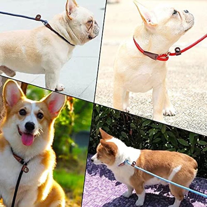 Classic Dog Pet Slip Leash  Lead Control  for Small Medium Animals