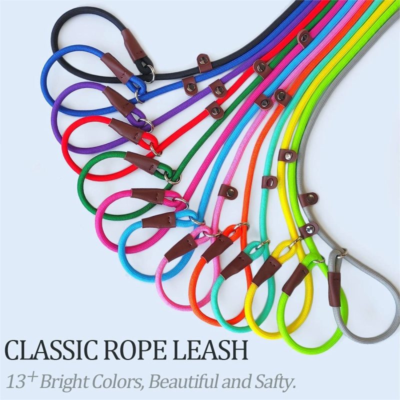 Classic Dog Pet Slip Leash  Lead Control  for Small Medium Animals