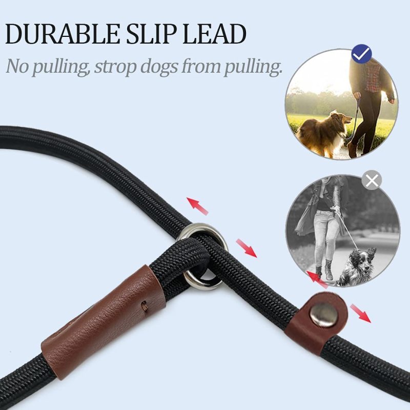 Classic Dog Pet Slip Leash  Lead Control  for Small Medium Animals