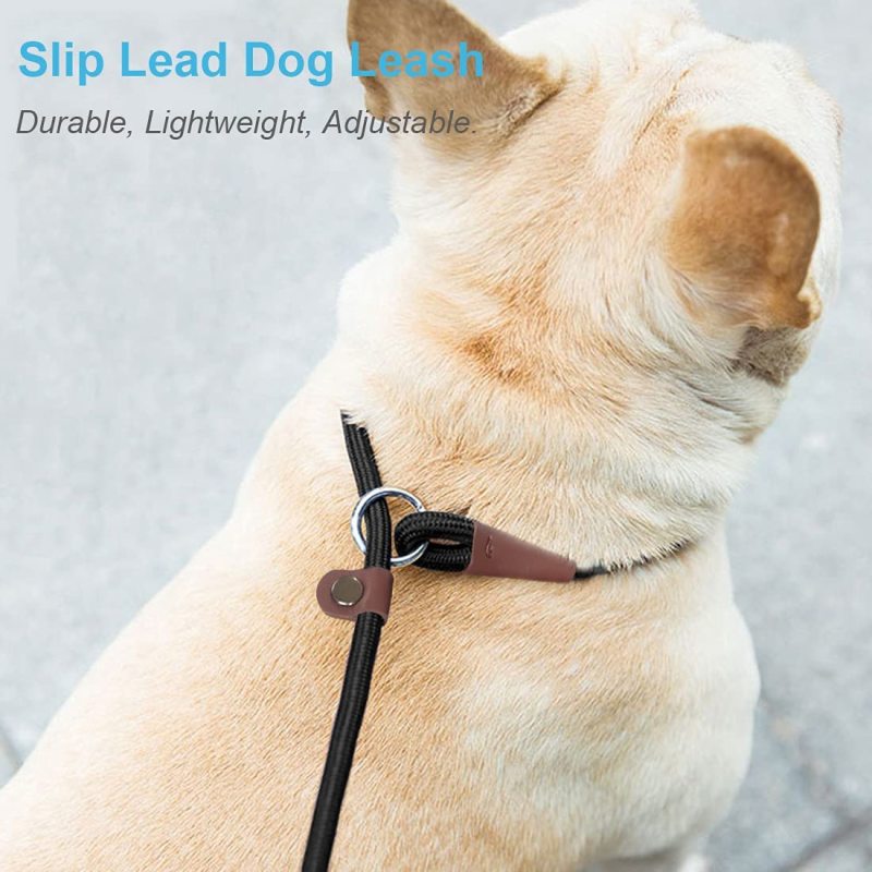 Classic Dog Pet Slip Leash  Lead Control  for Small Medium Animals