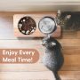 Elevated Cat Bowls 15 Degree Tilted Raised Cat Food Bowls Wood Pet Bowls Stainless Steel Bowls