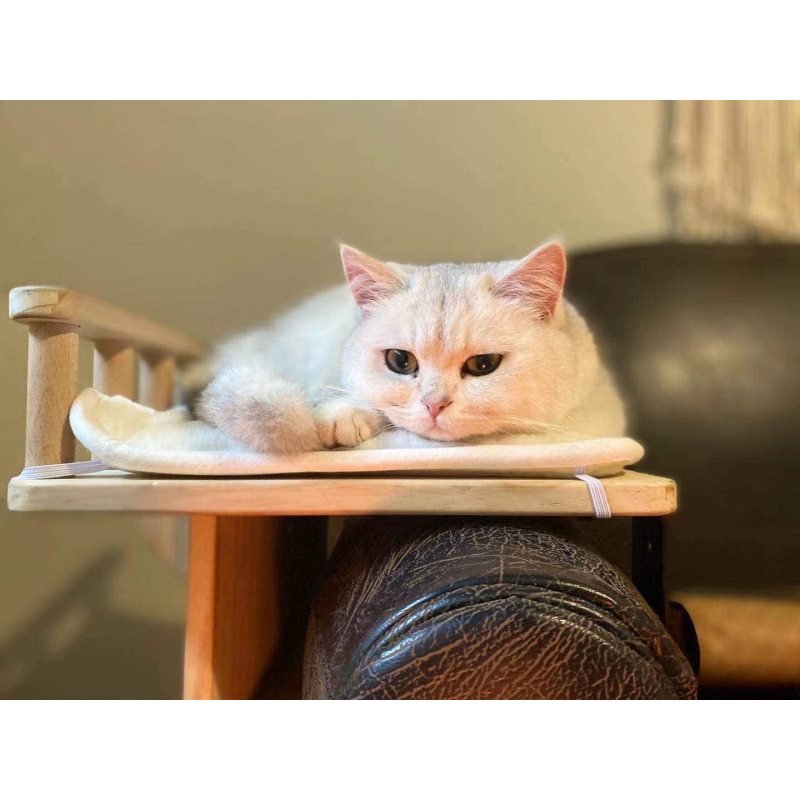Drawer and Other Grooved Platforms Cat Hammock Bed Used On Bedside with Plush Cushions