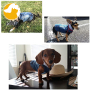 Dog Jean Jacket Blue Denim Lapel Vest Coat T-Shirt Costume Comfort and Cool Apparel Machine Washable Dog Clothes