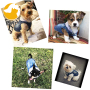 Dog Jean Jacket Blue Denim Lapel Vest Coat T-Shirt Costume Comfort and Cool Apparel Machine Washable Dog Clothes