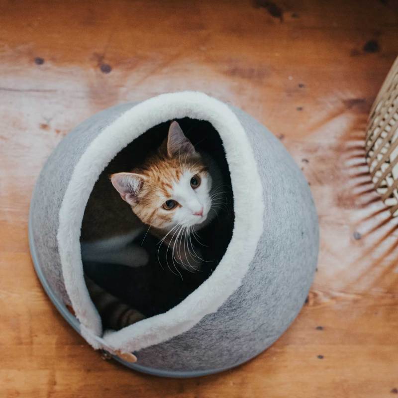 Cat Cave Bed House Winter Warm Pet Tent for Puppies Cats Indoor Bed Cat House