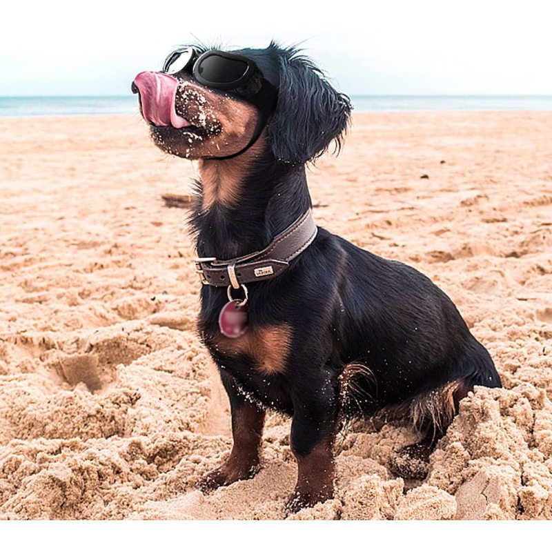 Windproof Motorcycle Pet Small Dog Sunglasses for Puppy Cat Eyes Protective