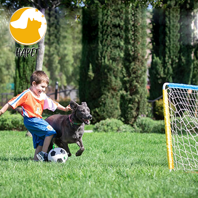 Dog Toys Soccer Ball with Grab Tabs Dog Interactive Puzzle Toys Puppy Birthday Gifts Durable Dog Balls