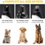 Painless Paw Nail Grinder Dog Rechargeable Electric Pet Grooming For Tools