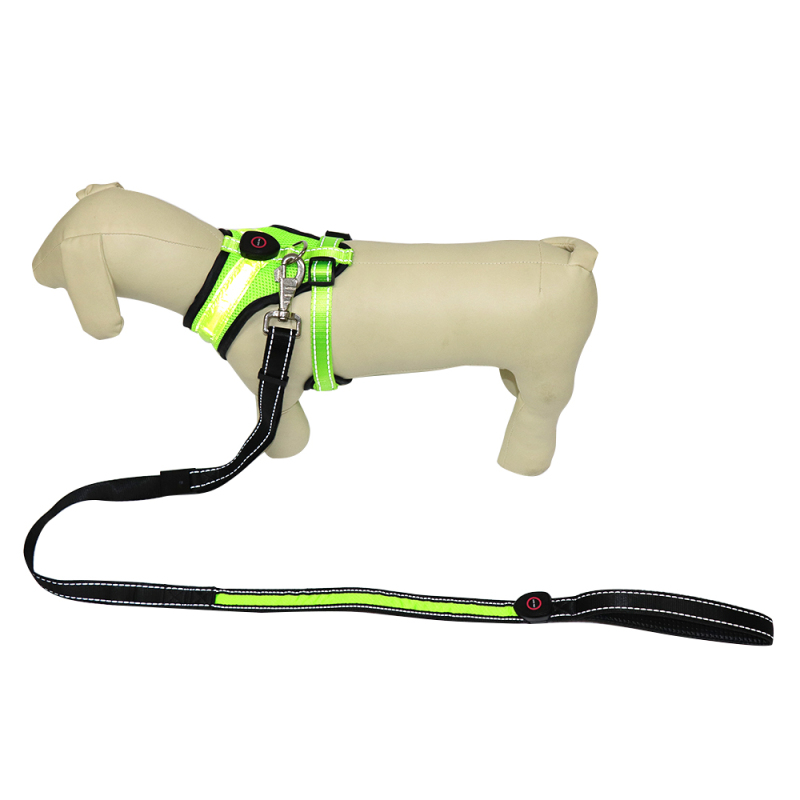 Walking Dog Harness and Leash Heavy Duty Adjustable Puppy Harness Soft Padded