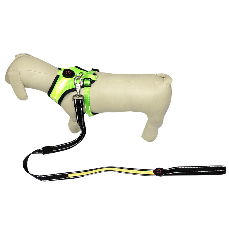 Walking Dog Harness and Leash Heavy Duty Adjustable Puppy Harness Soft Padded
