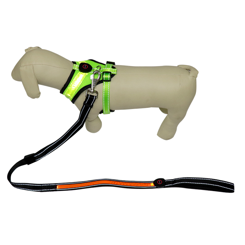 Walking Dog Harness and Leash Heavy Duty Adjustable Puppy Harness Soft Padded
