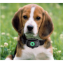 Functional Tracking Pet Tracker For Pets