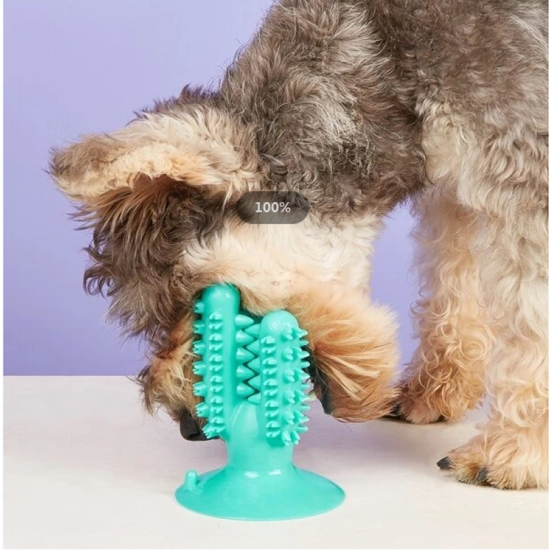 Pet Supplies Dog Molar Stick Toothbrush Pet Chew Clean Tooth Toy Corn Cactus Ball Dog Bite Gum Spot Wholesale