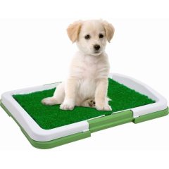 3 Layers Large Dog Pet Potty Training Pee Pad Mat Puppy Tray Grass Toilet Simulation Lawn For Indoor Potty Training Pet 3 Layers Large Dog Pet Potty Training Pee Pad Mat Puppy Tray Grass Toilet Simulation Lawn For Indoor Potty Training Pet