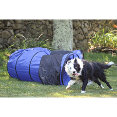 Tunnels with Sandbags Dog Agility Equipment For Outdoor Use