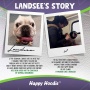 Happy Hoodie for Dogs and Cats - The Original Grooming and Force Drying Miracle Tool for Anxiety Relief and Calming Dogs collar