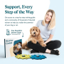 Dog Talking Button Tester Kit Bunny's Favorite Recordable Sound Buttons Brand | 2 x Recordable Sound Buttons + 2 x Compact Mats