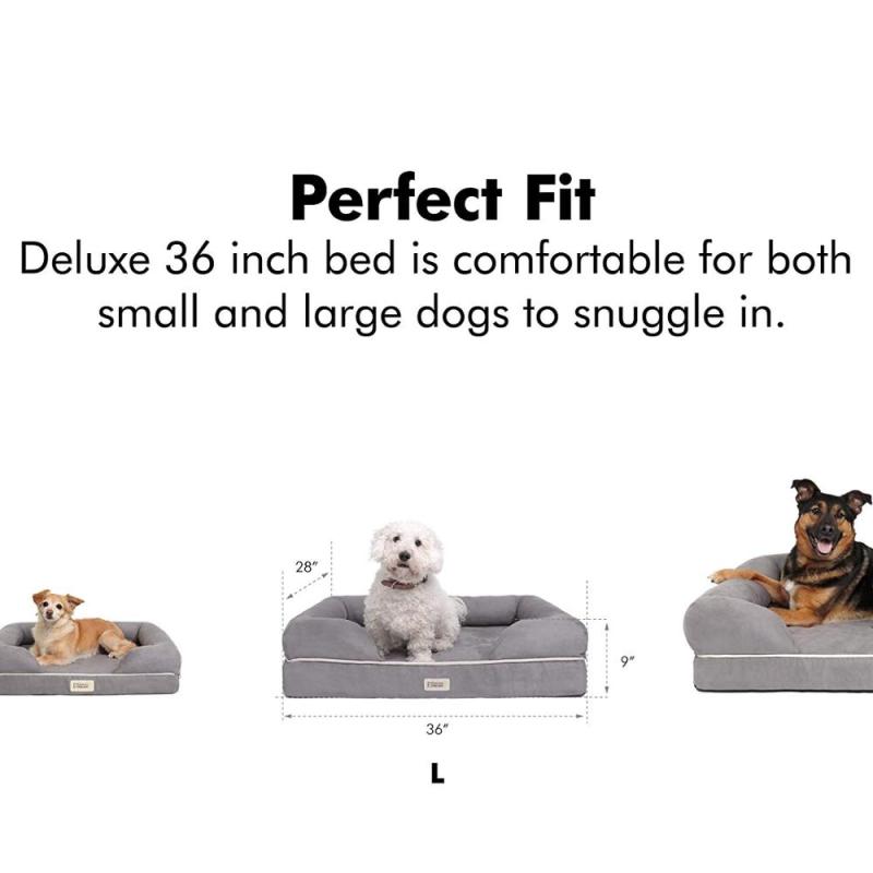 Orthopedic Dog Bed Lounge Sofa Removable Cover 100% Suede 2.5
