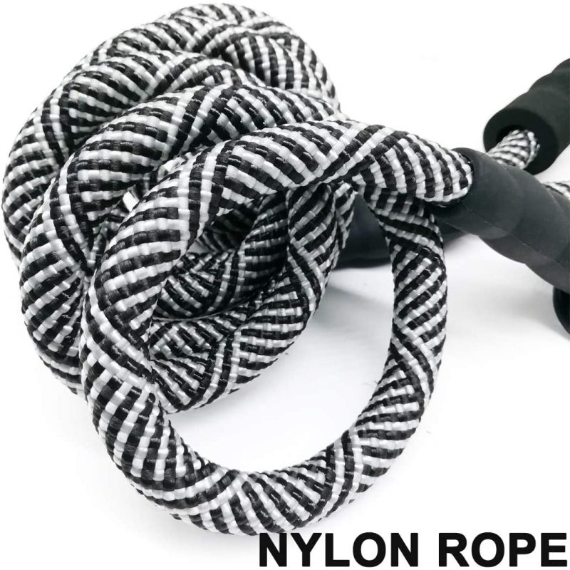 Soft Padded Handle Thick Lead Rope Dog Leash For Puppy