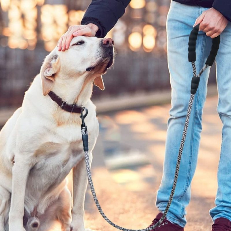 Soft Padded Handle Thick Lead Rope Dog Leash For Puppy