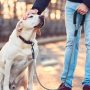 Soft Padded Handle Thick Lead Rope Dog Leash For Puppy
