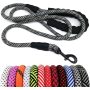 Soft Padded Handle Thick Lead Rope Dog Leash For Puppy