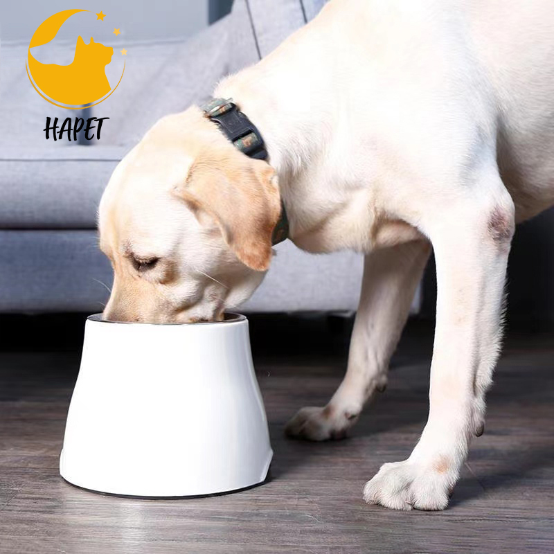 Cheap Hot Sale Top Quality Attractive Price New Type food bowl for pet cat bowl designs