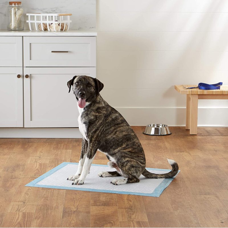 Heavy Duty Absorbency Pet  Pee Pads Quick-dry Surface with Leak-proof Design for Potty Training