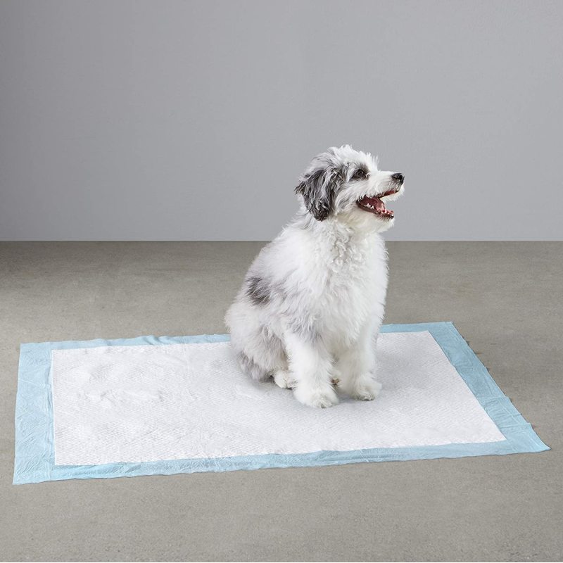 Heavy Duty Absorbency Pet  Pee Pads Quick-dry Surface with Leak-proof Design for Potty Training
