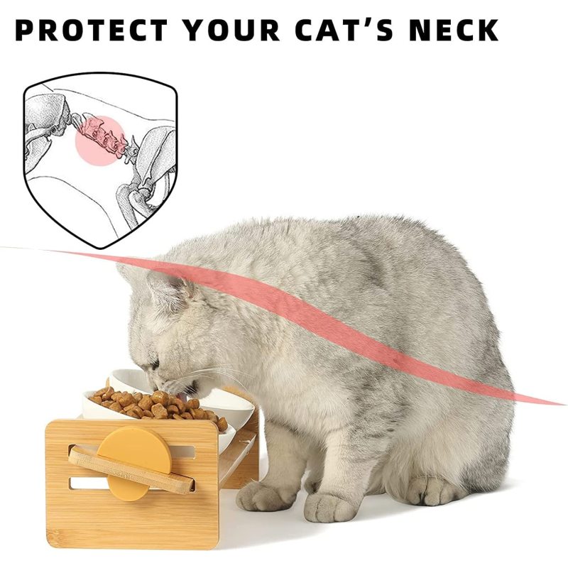 Elevated Cat Ceramic Bowls Small Dog Raised Food and Water Bowl Set