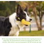 Dog Chew Toys for Aggressive Chewers, Indestructible Tough Durable Squeaky Interactive Dog Toys, Puppy Teeth Chew Corn Stick Toy
