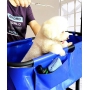 Pet Bathtub Dog Cat Grooming Bathing and Shower Bathtub