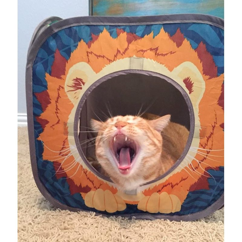 Collapsible Cat Play Kennel Cube Tunnel Cat Toys For Cat Indoor Use